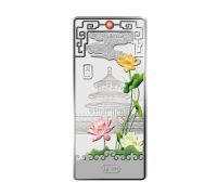 银条006